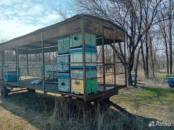 Пчелоприцеп