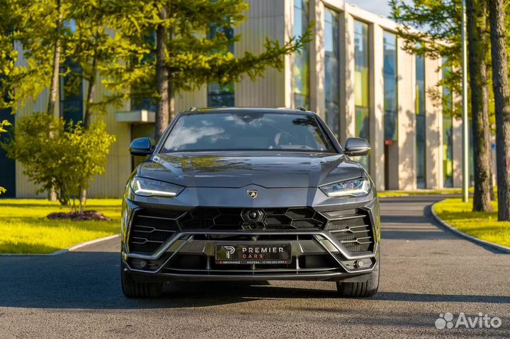 Аренда авто Lamborghini Urus