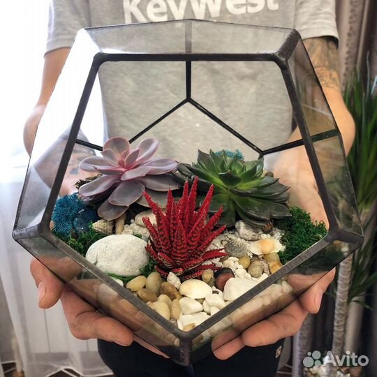 Флорариум с суккулентами. Подарок. Комнатное расте
