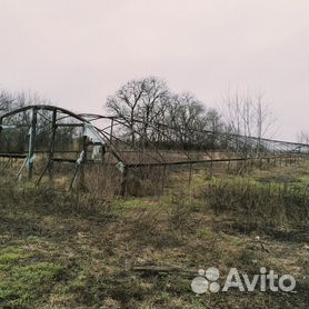 Теплицы в каждом дворе: как в Запорожской области выращивают овощи, - ФОТОРЕПОРТАЖ