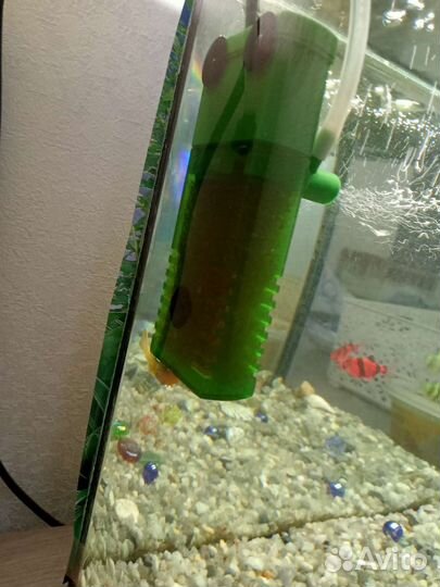 Рыбки в аквариум