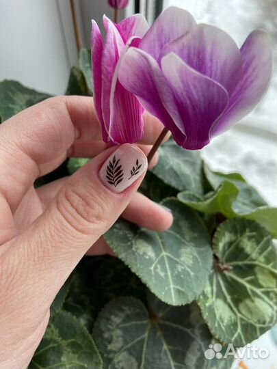 Маникюр на дому, гель лак