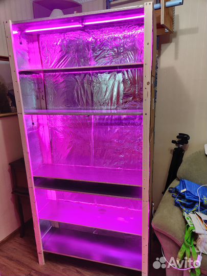 Фито стеллаж для рассады и цветов с подсветкой