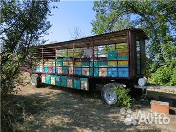 Мёд.Мёд.Мёд