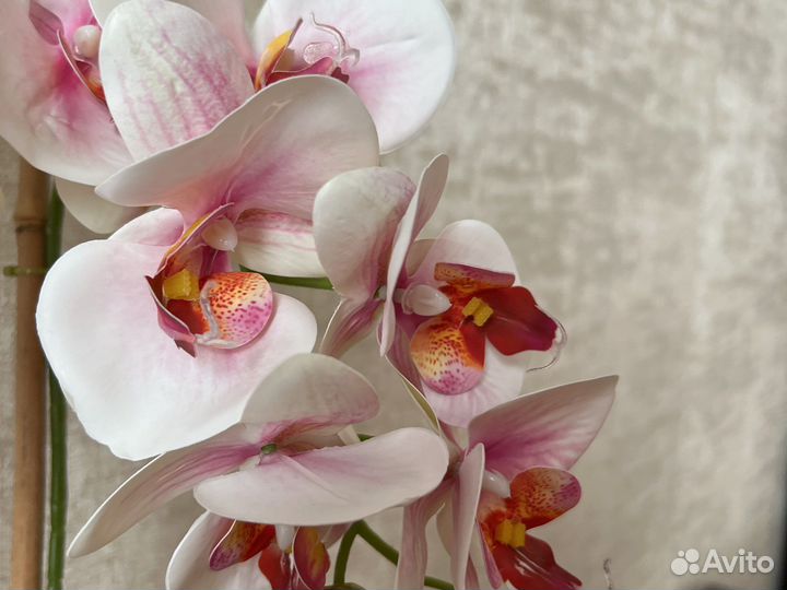 Орхидея искусственная