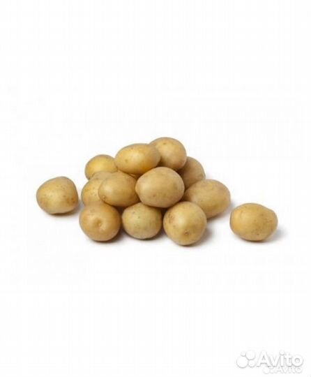 Домашний погребок