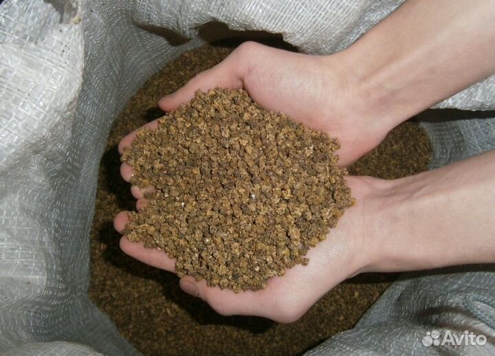 Семена свекла кормовая