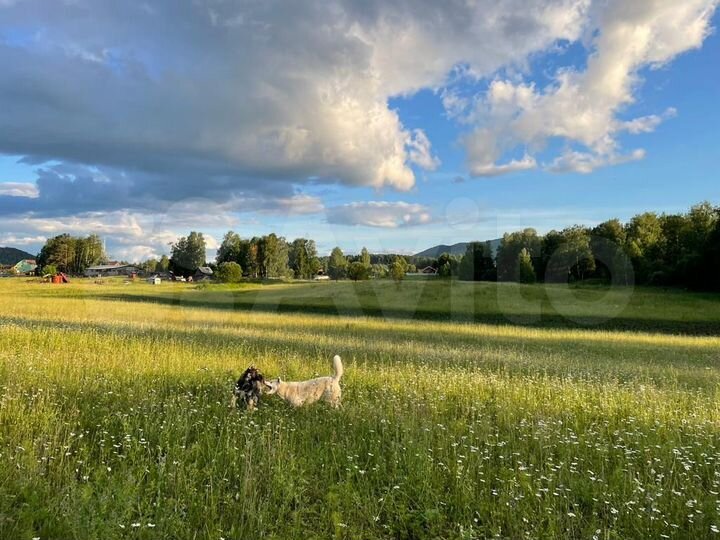 Участок 4,72 га (СНТ, ДНП)