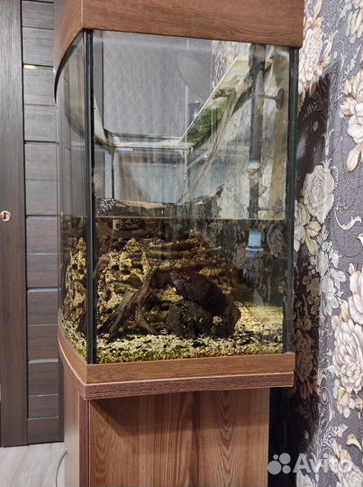 Аквариум с тумбой Панорама 240