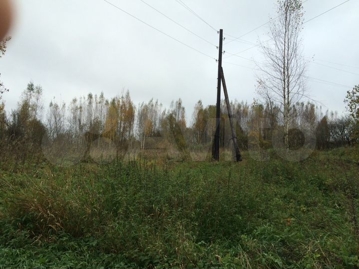 Участок 50 сот. (СНТ, ДНП)