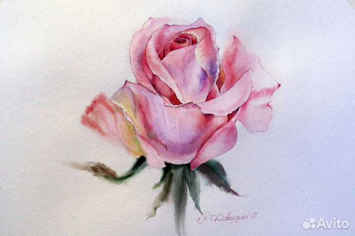 Картина акварель Роза