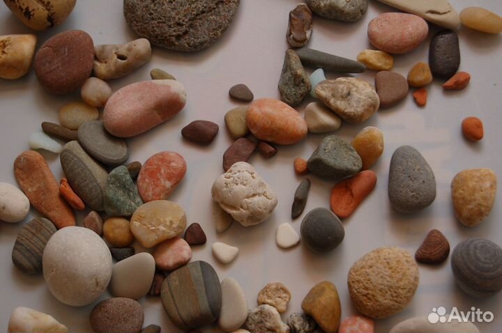 Морские ракушки и разноцветные камни