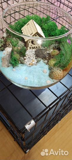 Флорариум готовый