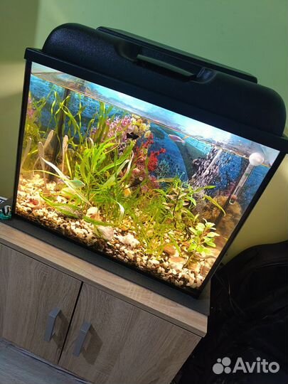 Аквариум с тумбой 50 литров