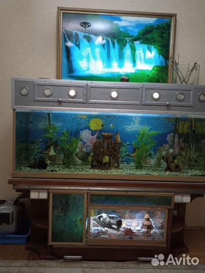 Аквариум