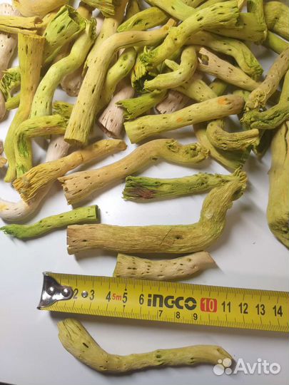 Сушеные ветки для декора