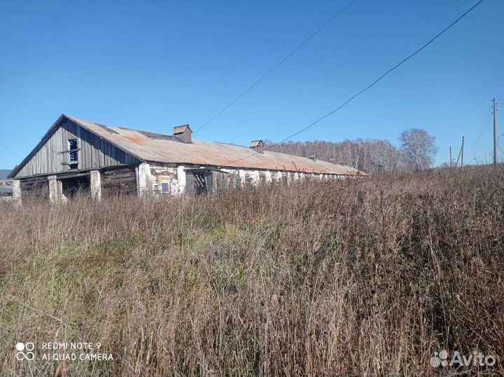 Помещение под содержание с/ х животных