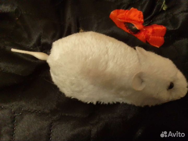 Игрушки, поводок и расческа для кошек