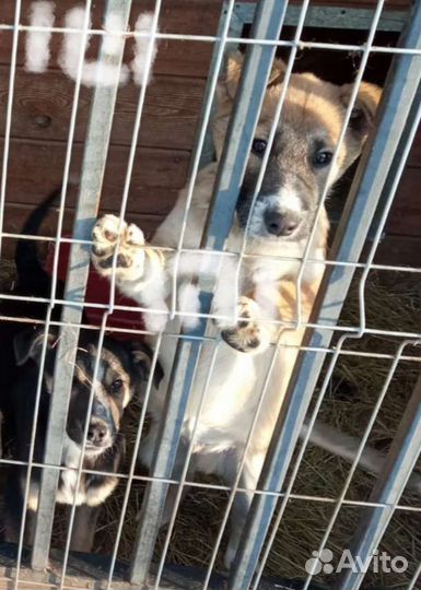 Малыши замерзают