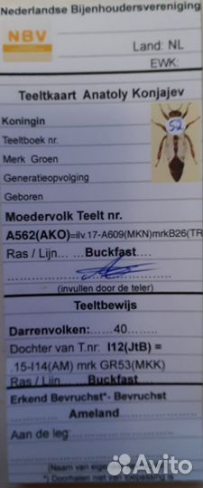 Пчеломатки карника