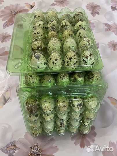 Яйца перепелиные