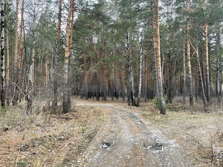 Участок 13 сот. (ИЖС)