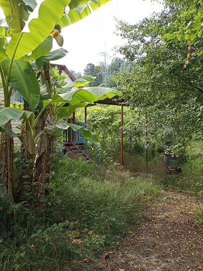 Участок 4,8 сот. (ИЖС)