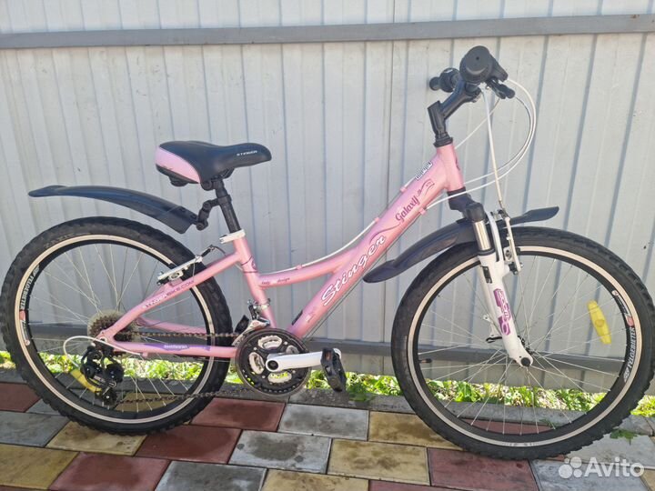 Stern galaxy и Stern Leeloo 24