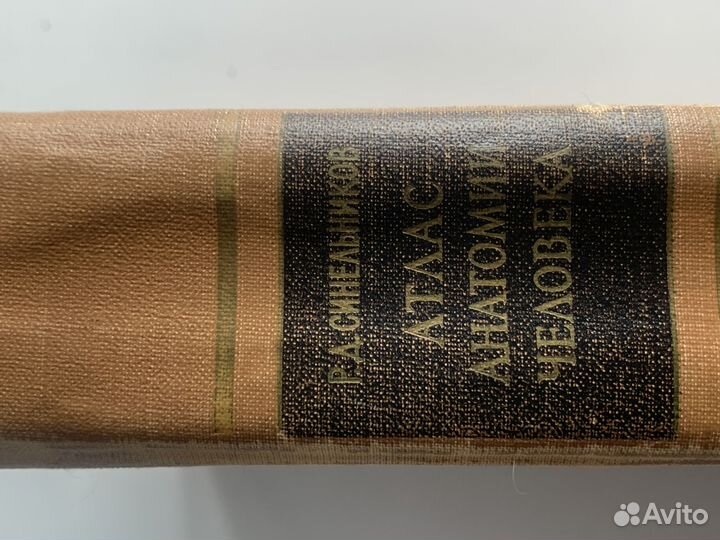 Атлас анатомии человека синельников