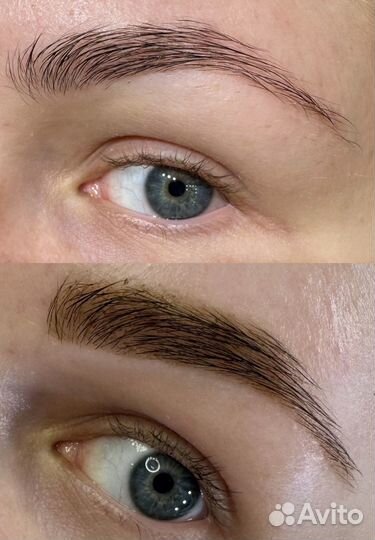 Мастер бровист