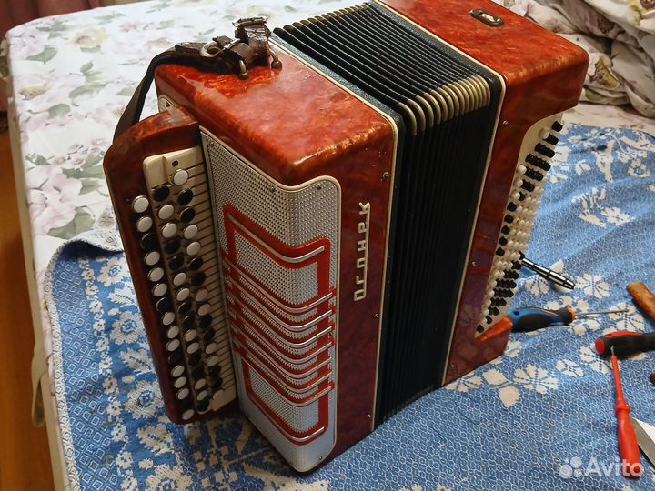 Баян огонёк 2