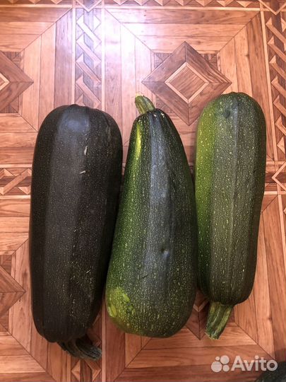 Кабачки свежие