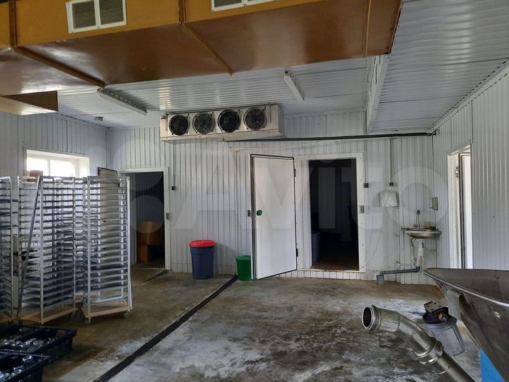 Цех переработки мяса, рыбы и п.фабрикатов. 400 м²