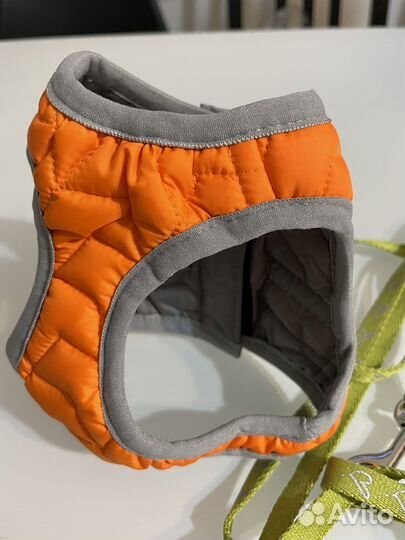 Шлейка для маленькой собаки