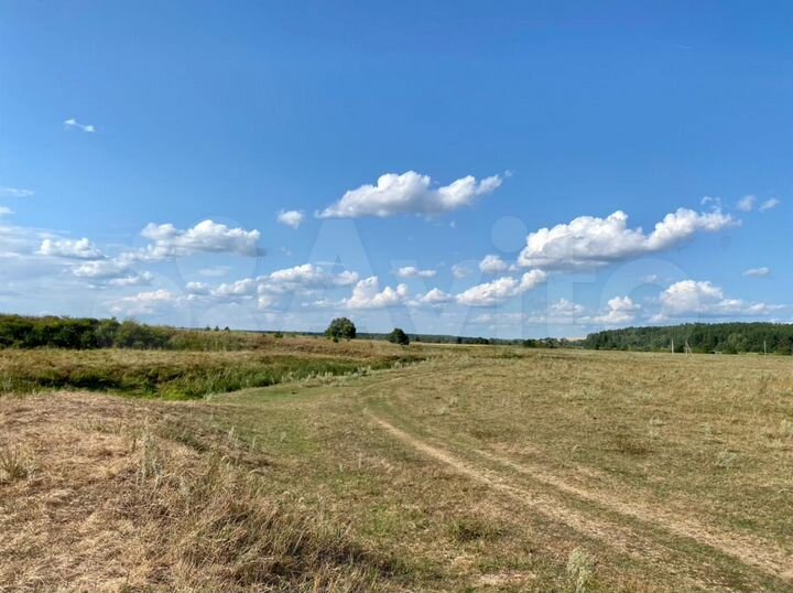 Участок 60 га (СНТ, ДНП)