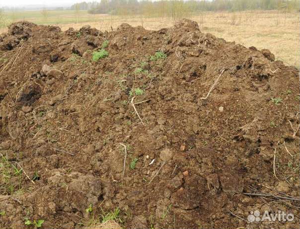 Навоз коровий с доставкой Пермь от 2 тонн