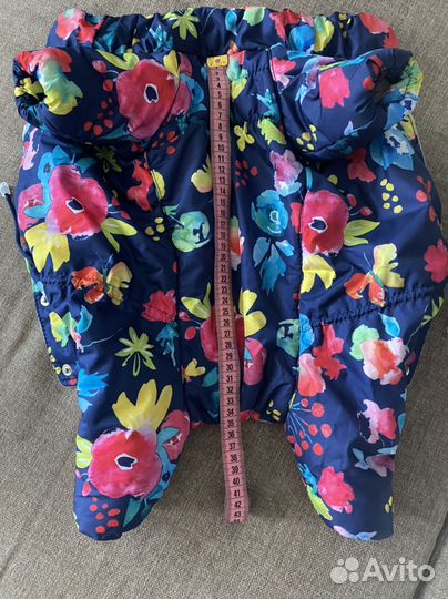 Одежда для собак