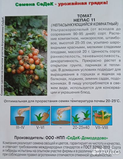 Рассада помидор черри