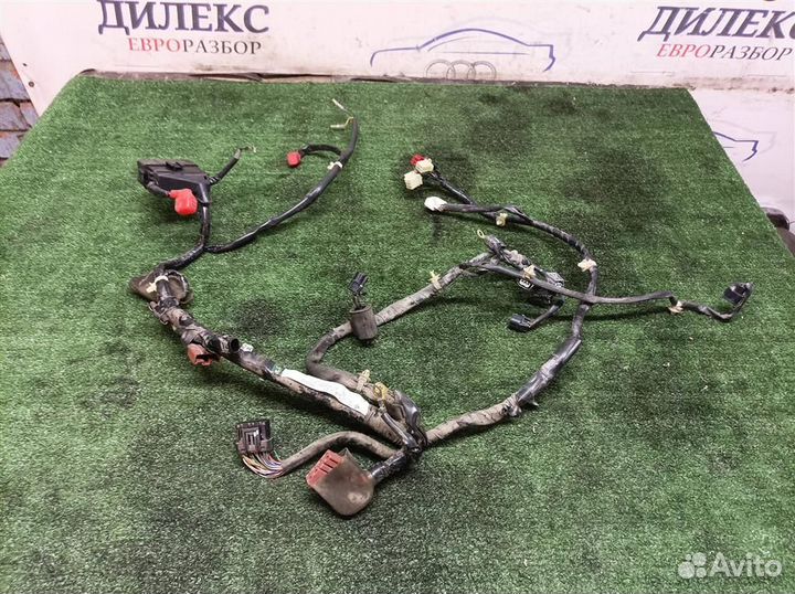 Проводка (коса)(мото) Мопед Honda Tact 75