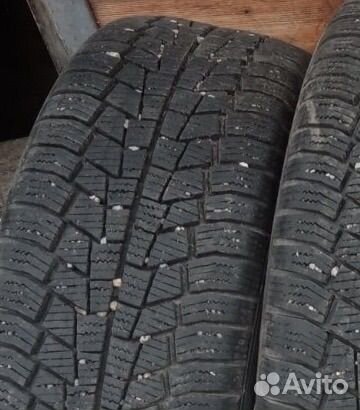 Gislaved Euro Frost 6 205/55 R16