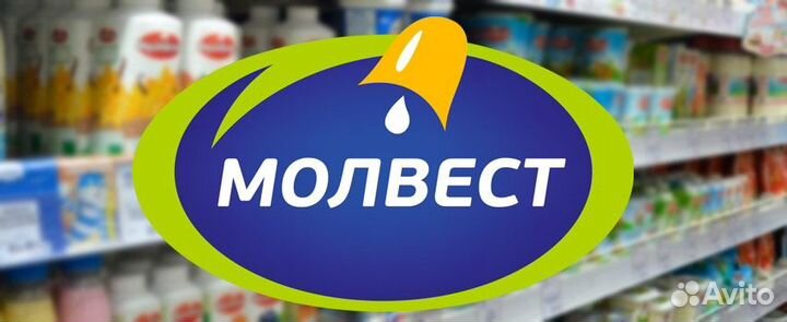 Мерчендайзер (Маршака, Смирнова, Путиловская )