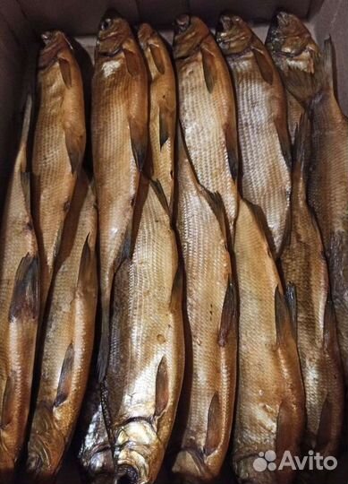 Опт рыба Севера, Югры, Ямала