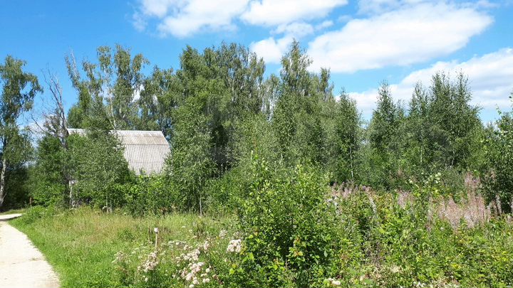 Участок 13,2 сот. (СНТ, ДНП)
