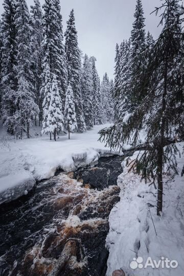 Автобусный тур в Карелию из Ижевска