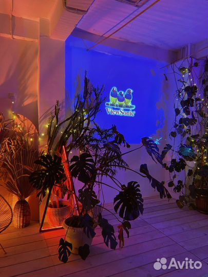 Аренда помещения под мероприятие