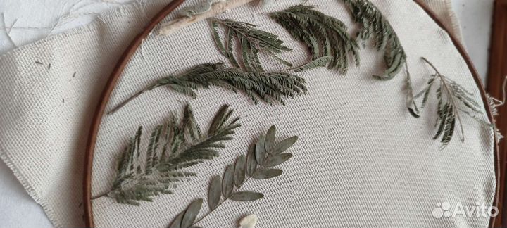 Сухоцветы/сухие цветы/гербарий