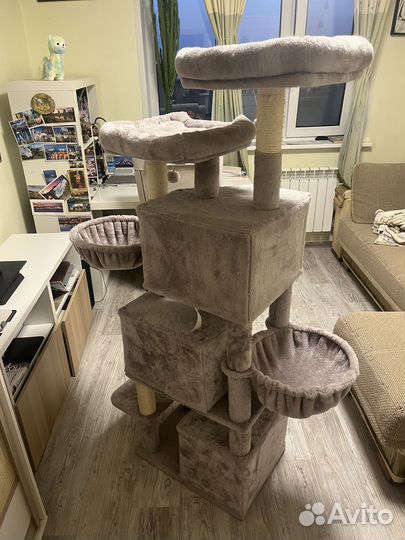 Когтеточка для кошек