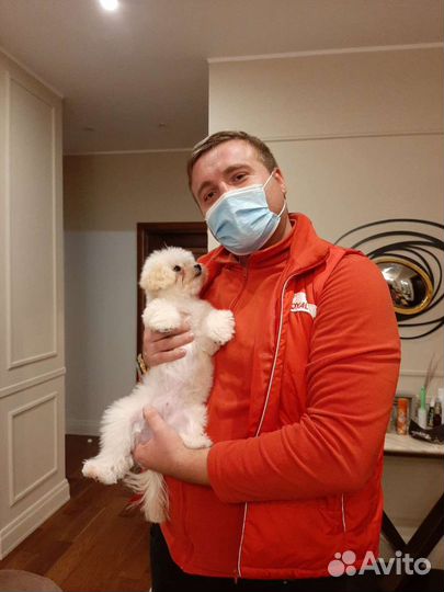 Вызов ветеринарного врача на дом 24/7