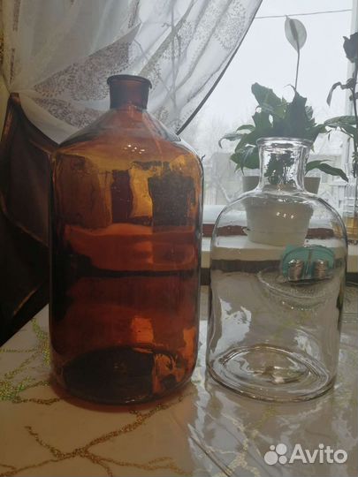 Штангласы аптечные