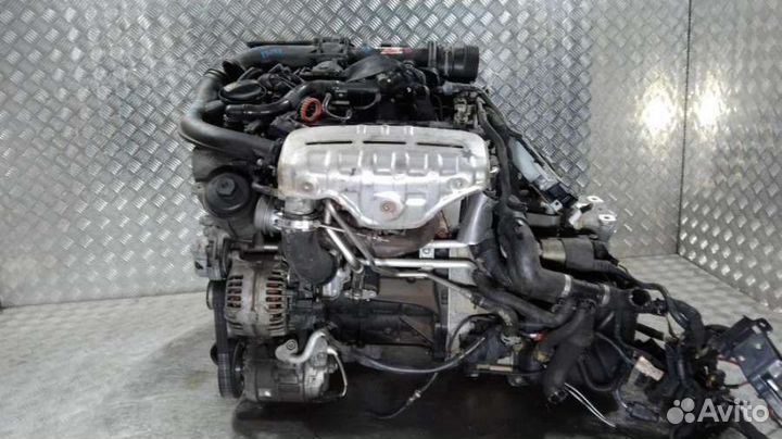 Двигатель BMY Volkswagen Golf 5 1.4 Бензин
